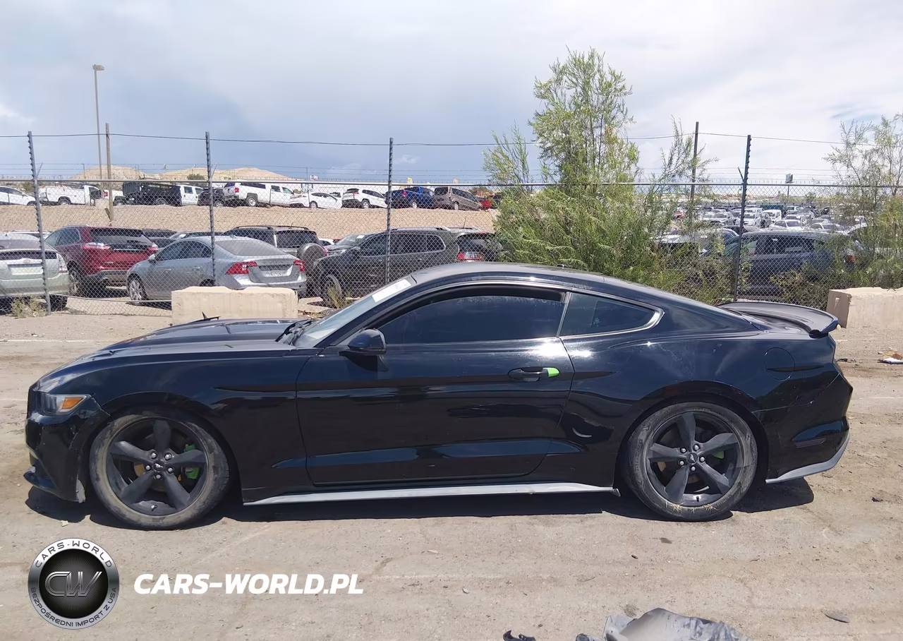 2016 Ford Mustang Ecoboost VIN:1FA6P8TH4G5257509 - 15