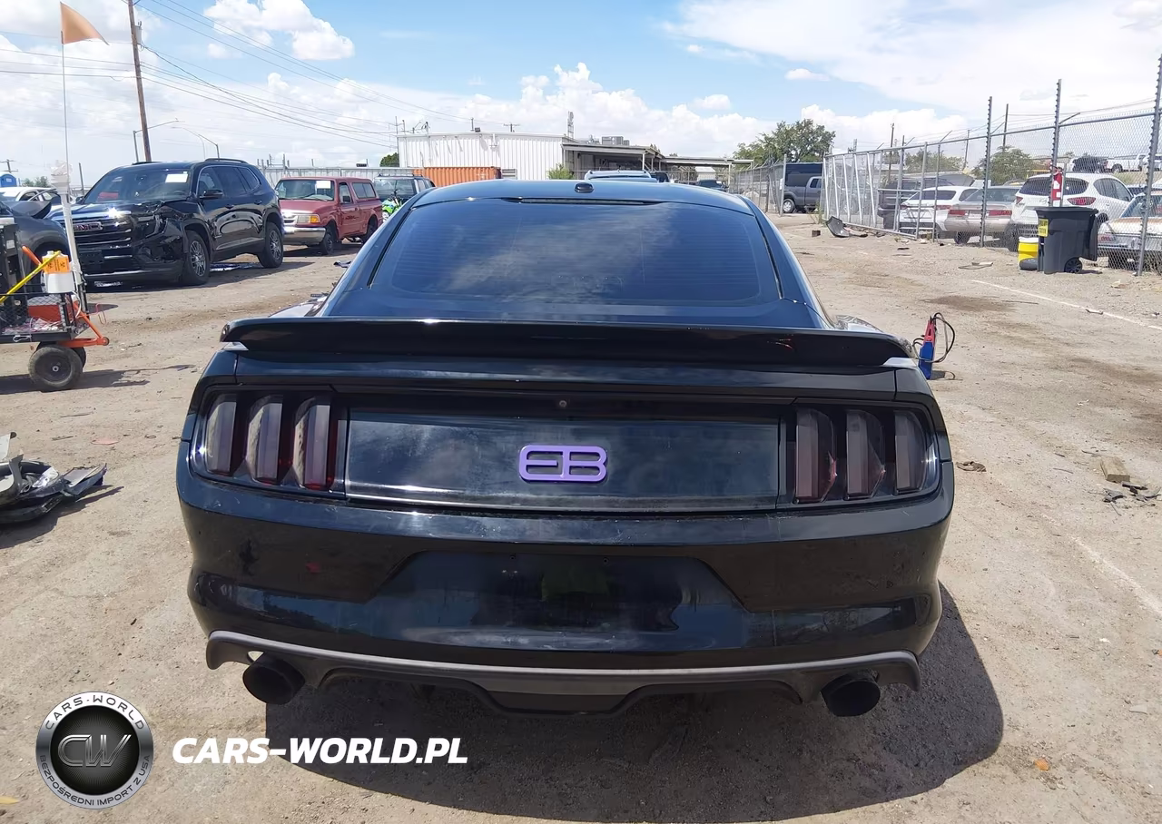 2016 Ford Mustang Ecoboost VIN:1FA6P8TH4G5257509 - 17