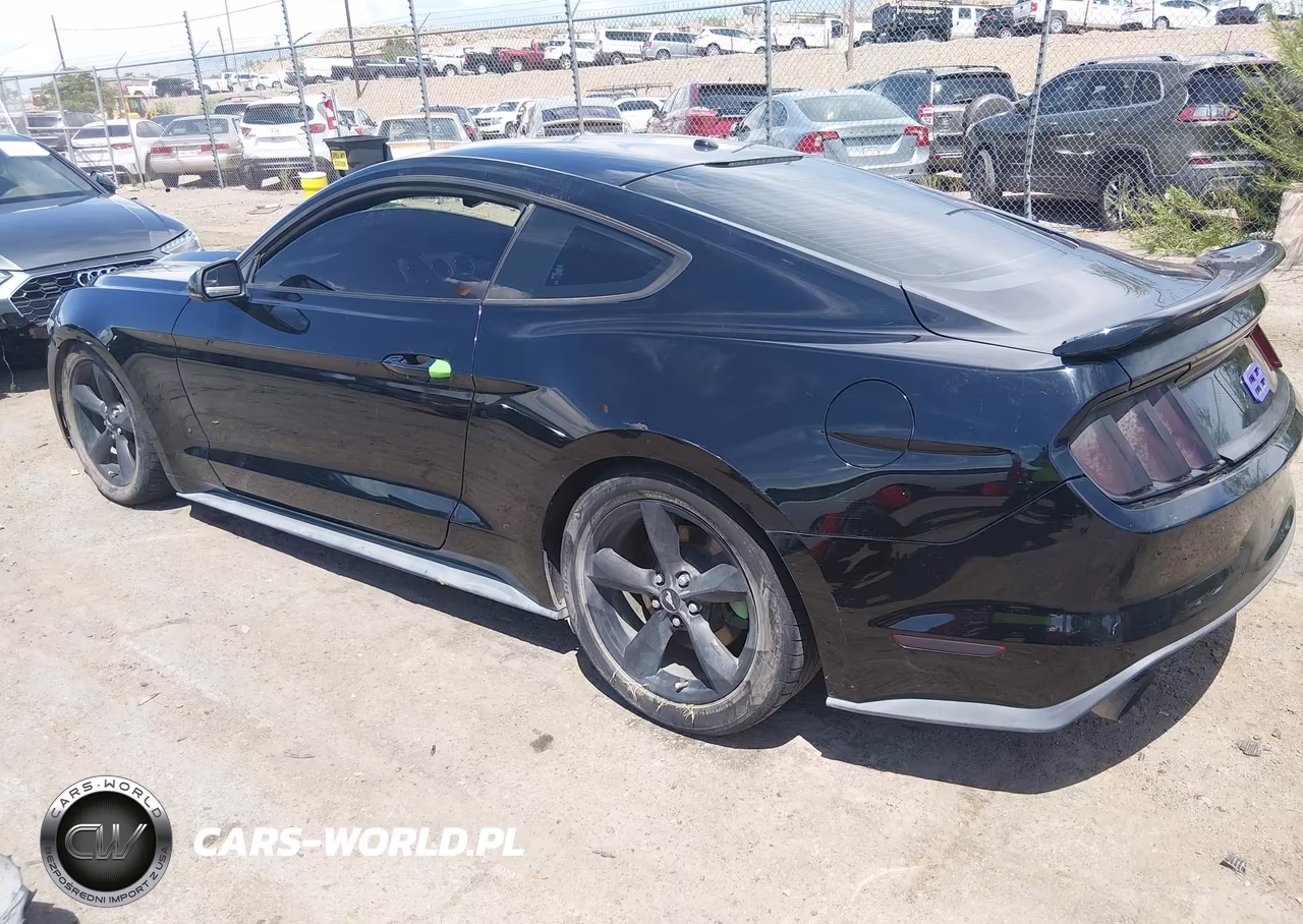 2016 Ford Mustang Ecoboost VIN:1FA6P8TH4G5257509 - 3