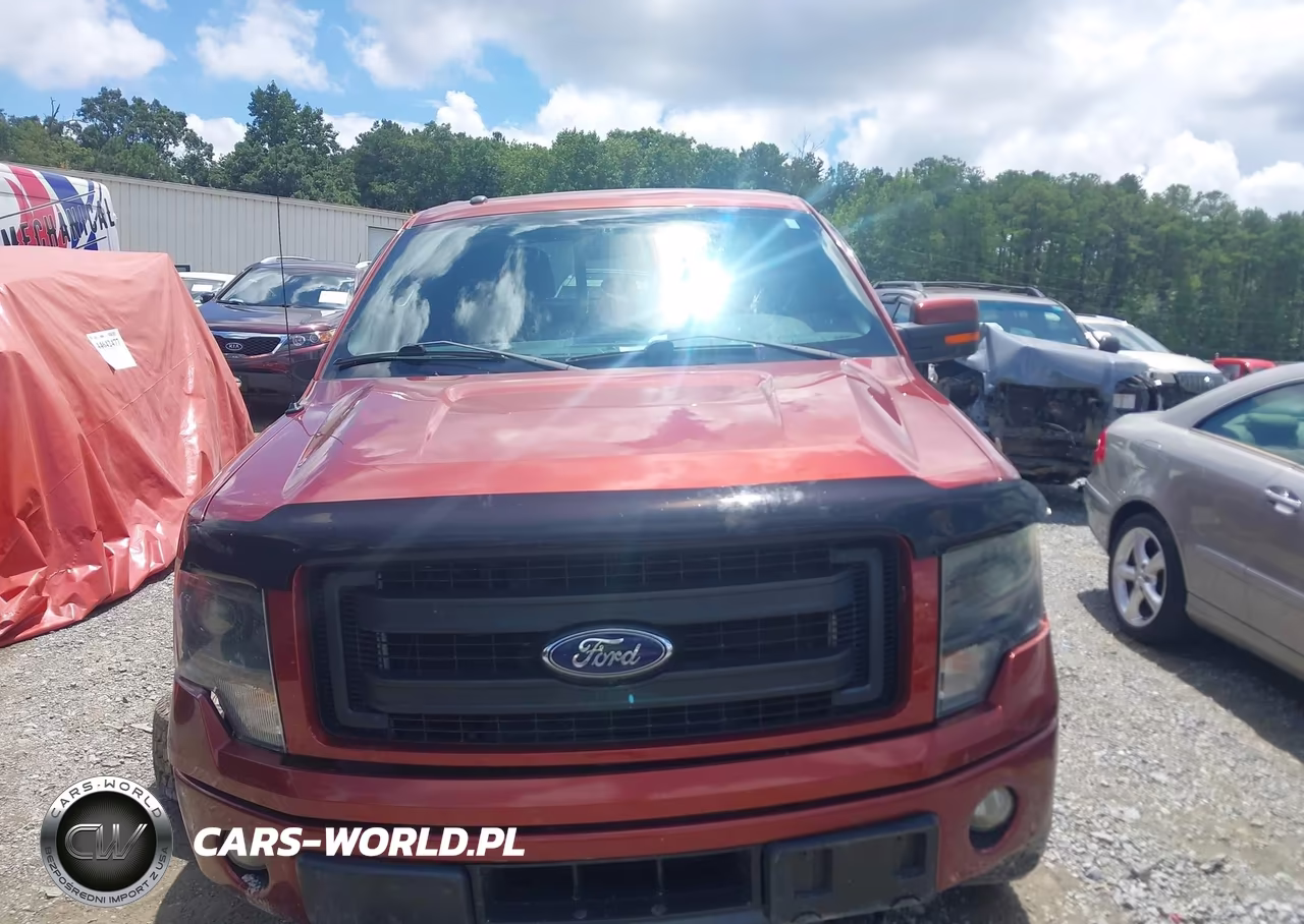 2014 Ford F-150 Fx4-King Ranch-Lariat-Limited-Platinum-Xl-Xlt VIN:1FTFW1ET5EKF31949 - 12
