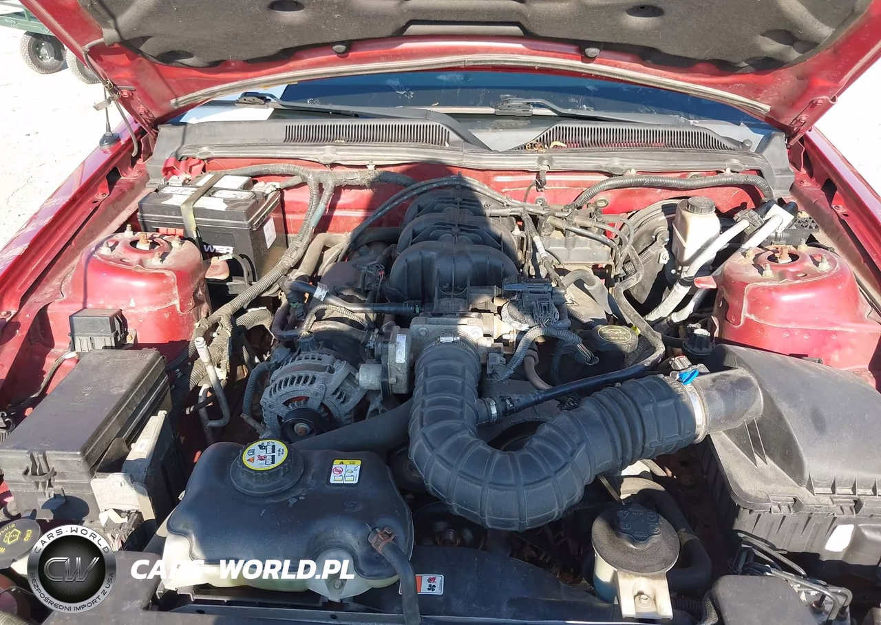2009 Ford Mustang V6-V6 Premium VIN:1ZVHT80N995128206 - 10