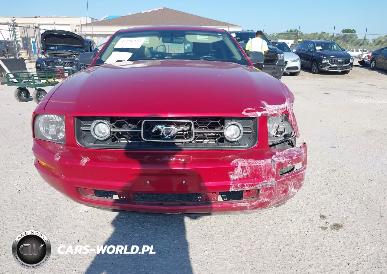 2009 Ford Mustang V6-V6 Premium VIN:1ZVHT80N995128206 - 13