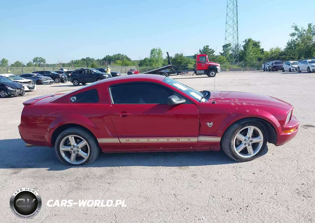 2009 Ford Mustang V6-V6 Premium VIN:1ZVHT80N995128206 - 14