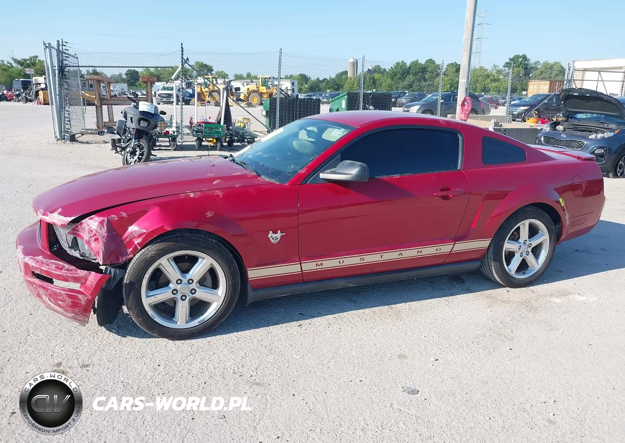 2009 Ford Mustang V6-V6 Premium VIN:1ZVHT80N995128206 - 2