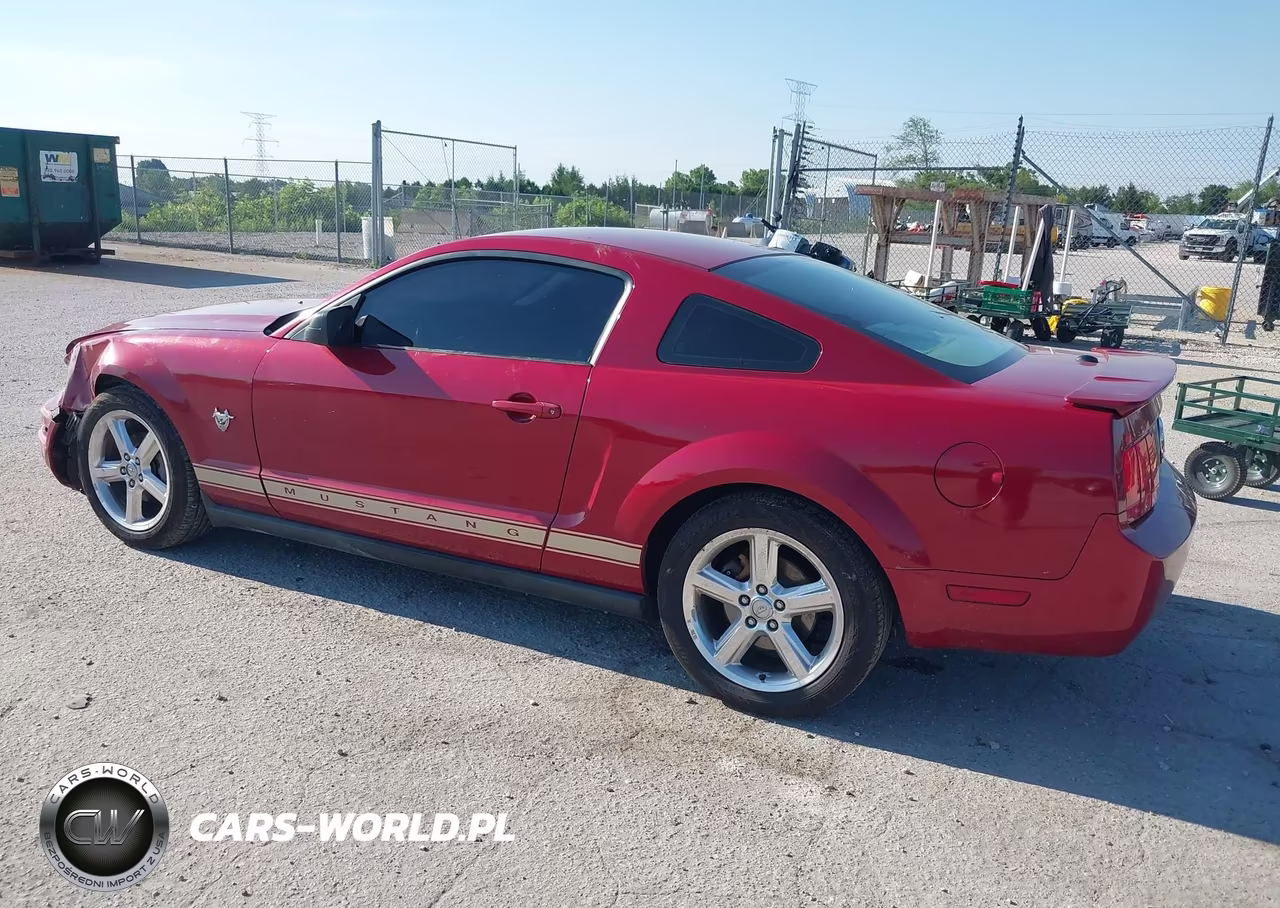 2009 Ford Mustang V6-V6 Premium VIN:1ZVHT80N995128206 - 3
