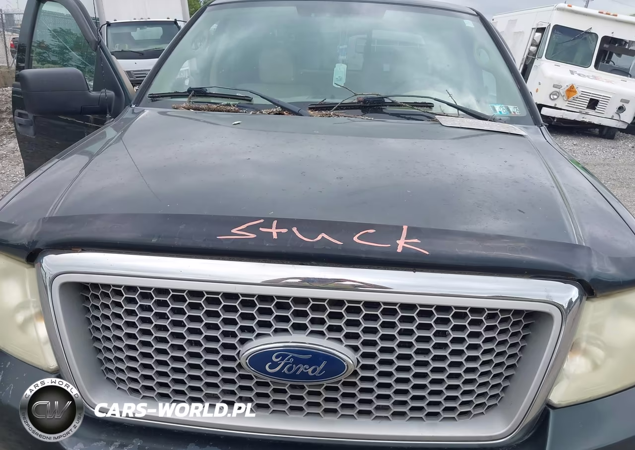 2004 Ford F-150 Fx4-Lariat-Xlt VIN:1FTPW14504KA74277 - 10