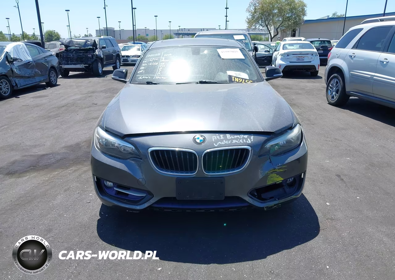 2014 BMW 228I VIN:WBA1F5C53EV255725 - 12