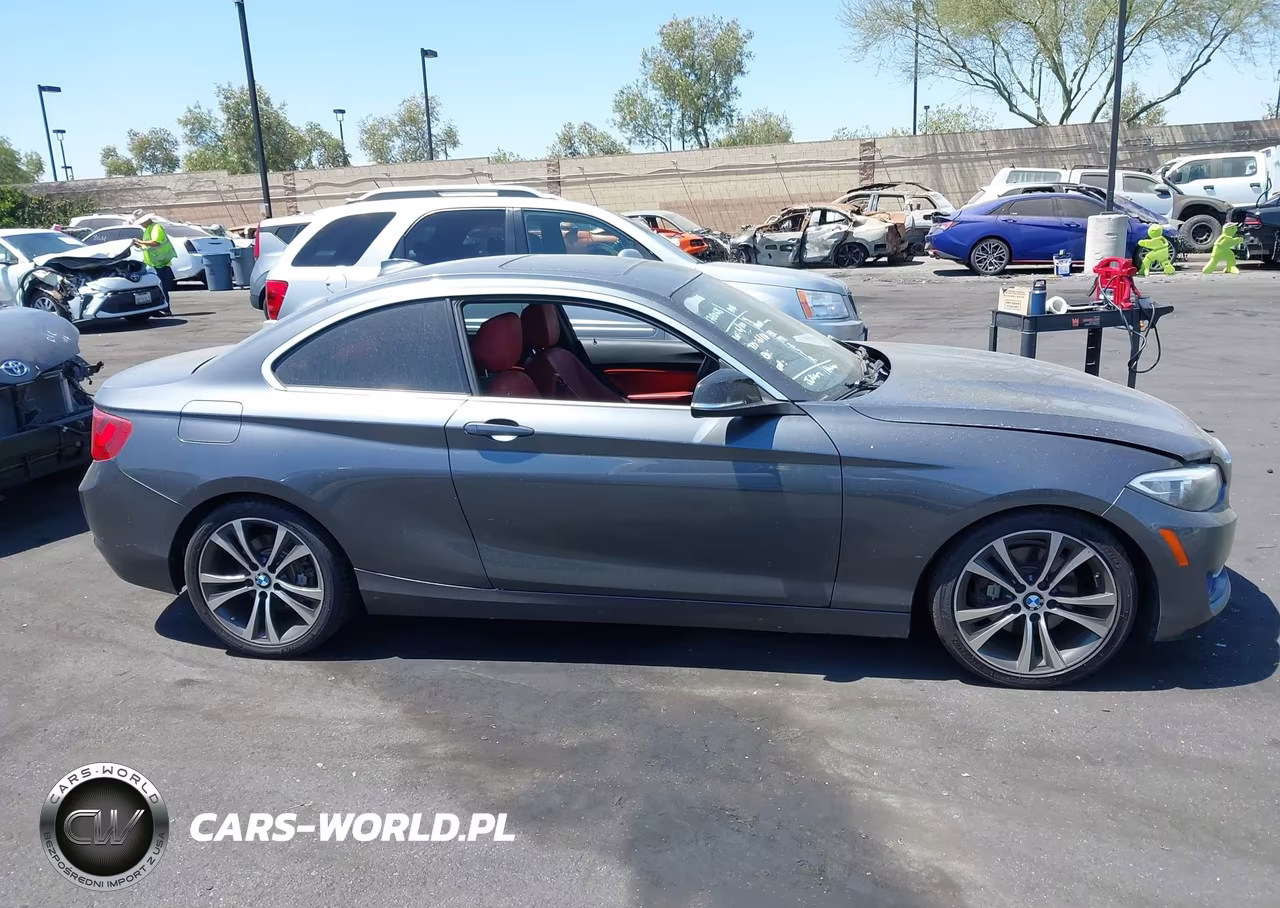 2014 BMW 228I VIN:WBA1F5C53EV255725 - 13