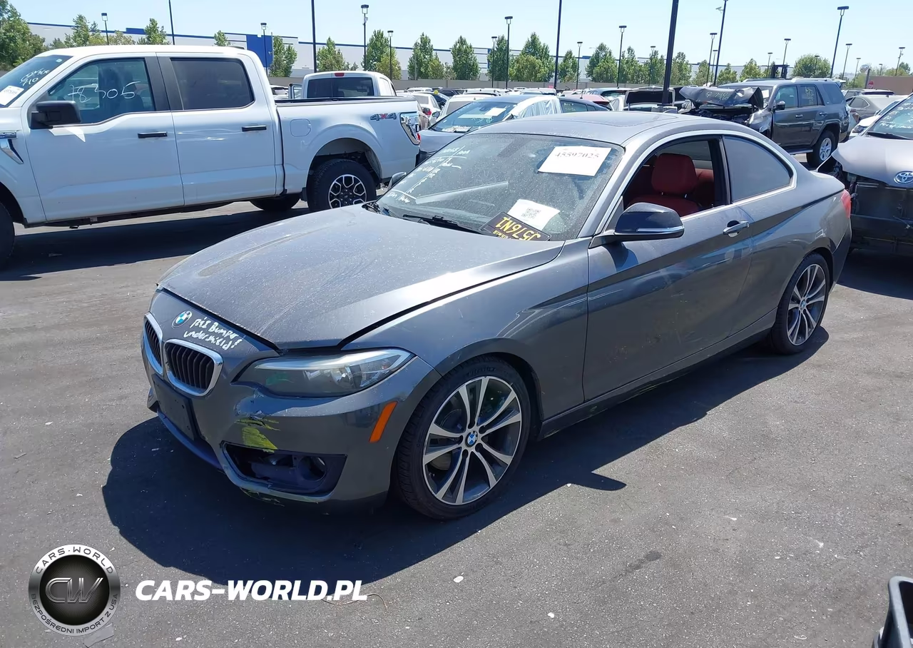 2014 BMW 228I VIN:WBA1F5C53EV255725 - 2