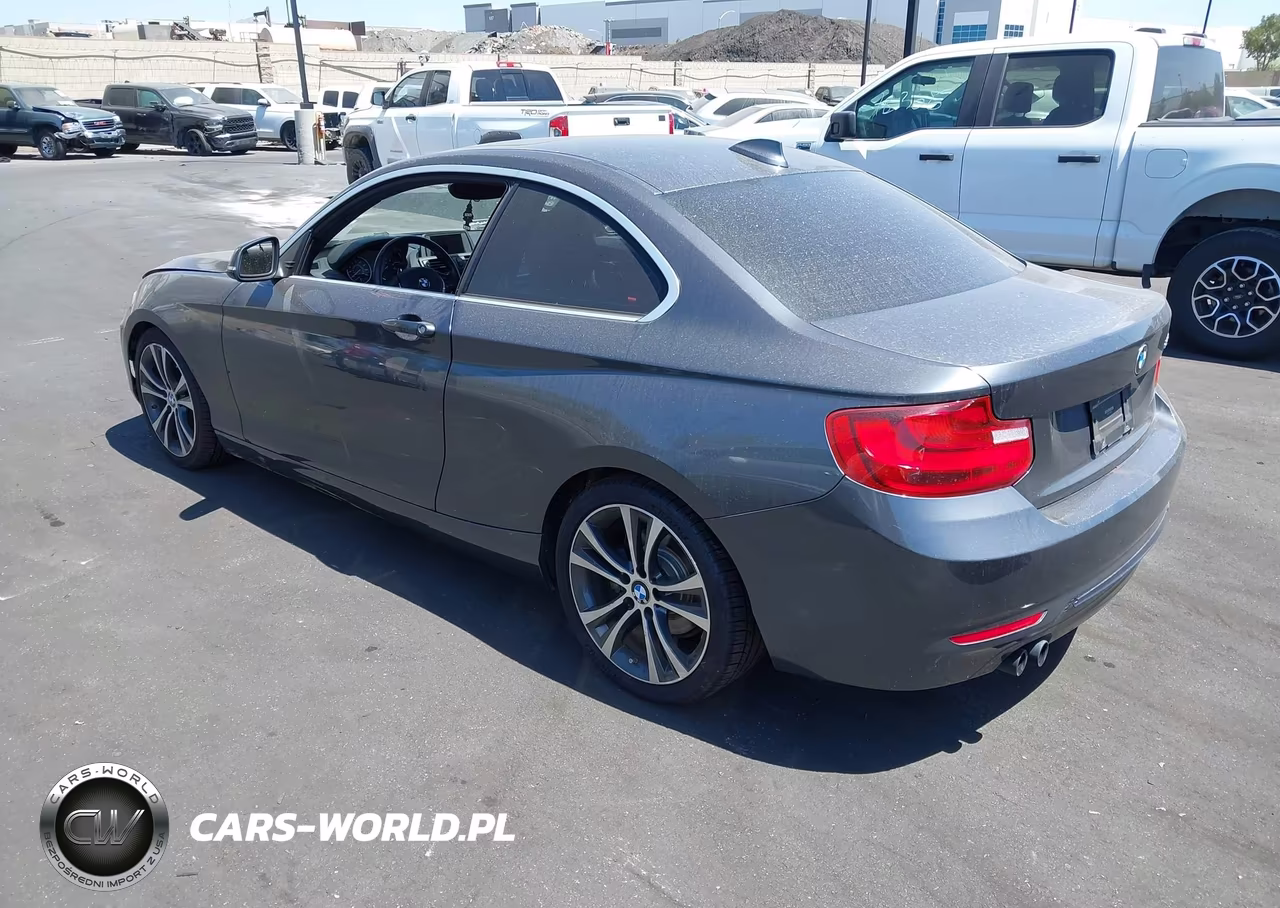 2014 BMW 228I VIN:WBA1F5C53EV255725 - 3