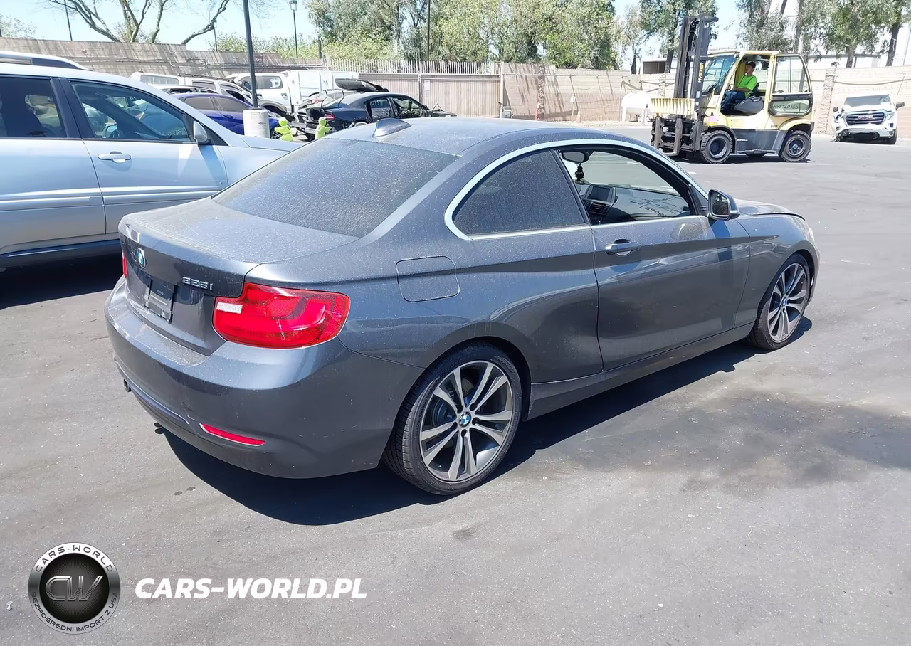 2014 BMW 228I VIN:WBA1F5C53EV255725 - 4