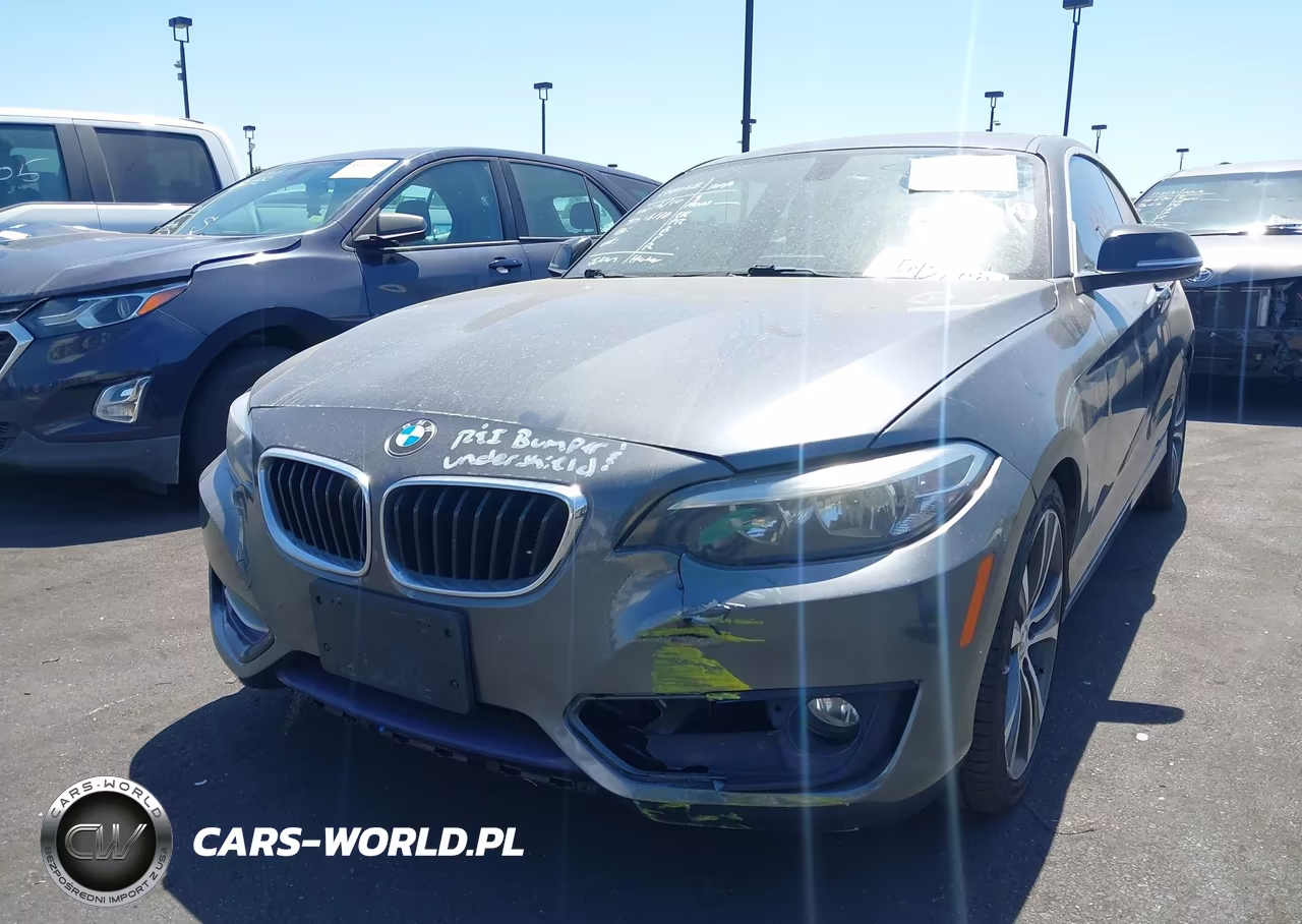 2014 BMW 228I VIN:WBA1F5C53EV255725 - 6