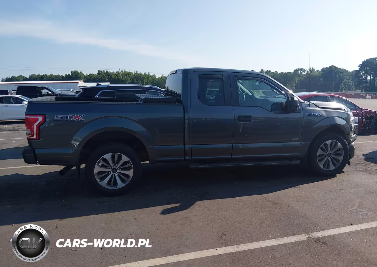 2017 Ford F-150 Xl VIN:1FTEX1CP1HFC78396 - 13