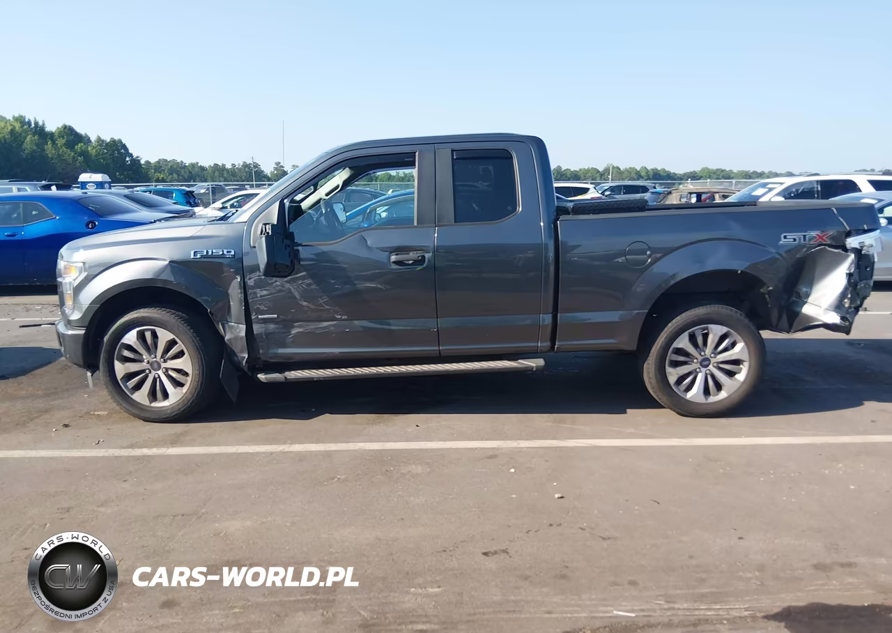 2017 Ford F-150 Xl VIN:1FTEX1CP1HFC78396 - 14