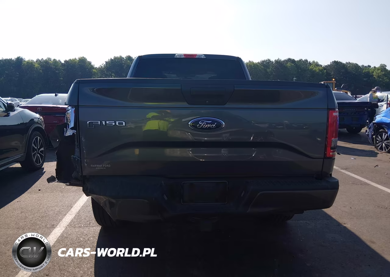 2017 Ford F-150 Xl VIN:1FTEX1CP1HFC78396 - 16