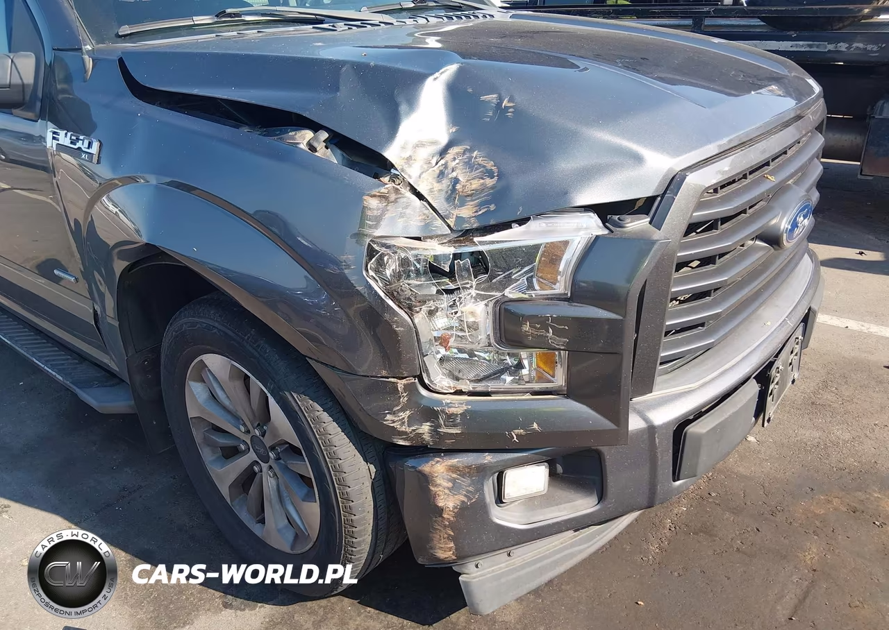 2017 Ford F-150 Xl VIN:1FTEX1CP1HFC78396 - 6