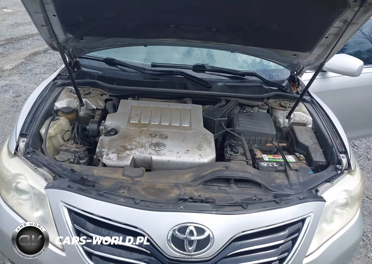 2010 Toyota Camry Xle V6 VIN:4T1BK3EK1AU598765 - 10