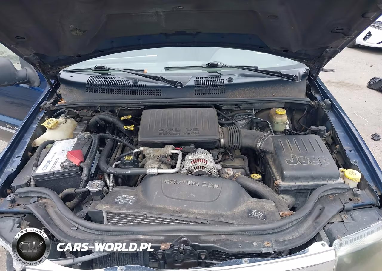 2002 Jeep Grand Cherokee Laredo VIN:1J8GW48N52C197245 - 10