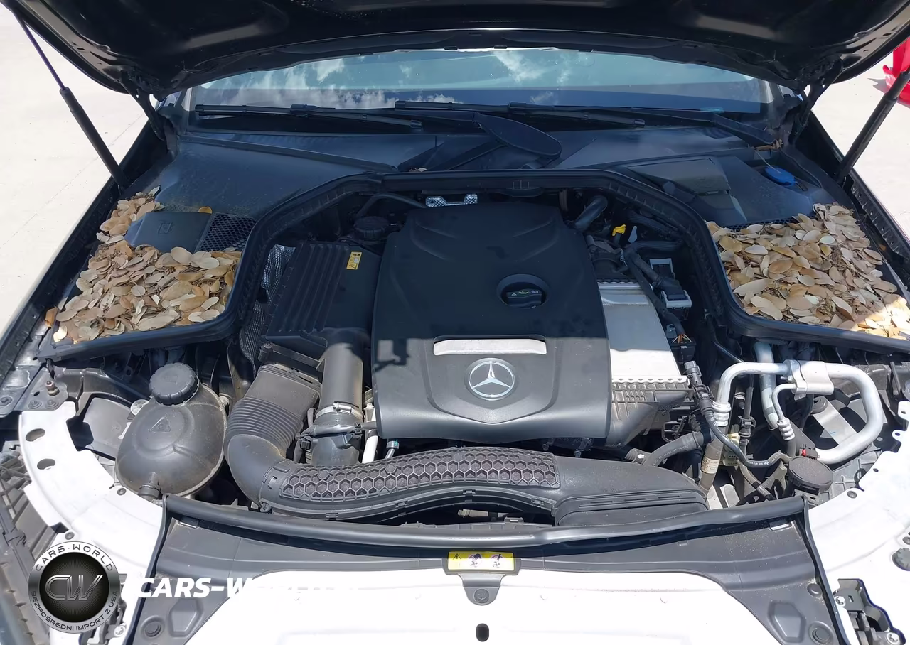 2016 Mercedes-Benz C 300 VIN:55SWF4JB0GU168960 - 10