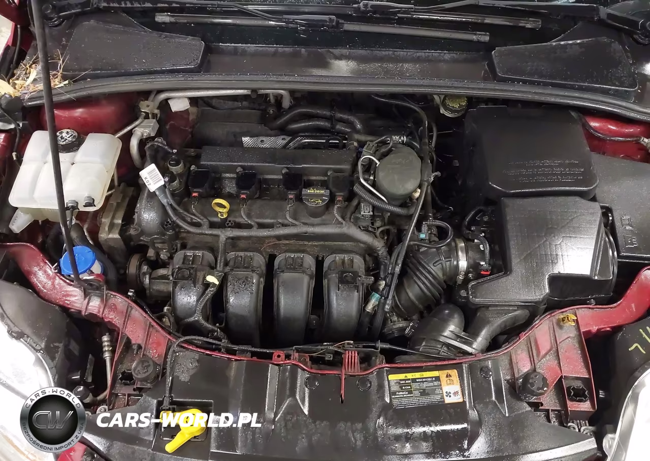 2013 Ford Focus Se VIN:1FADP3F26DL224455 - 10