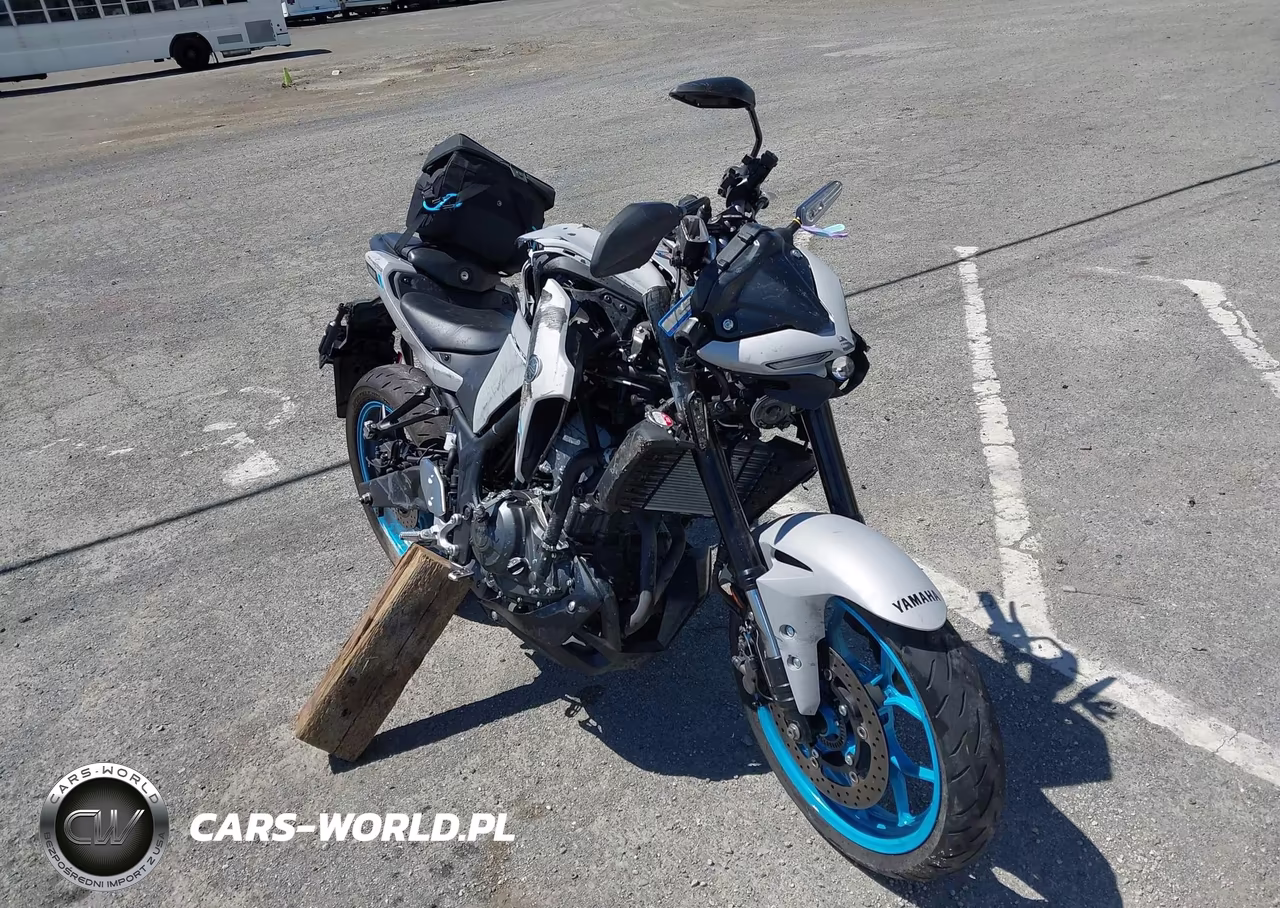2025 Yamaha Mtn320 Ac