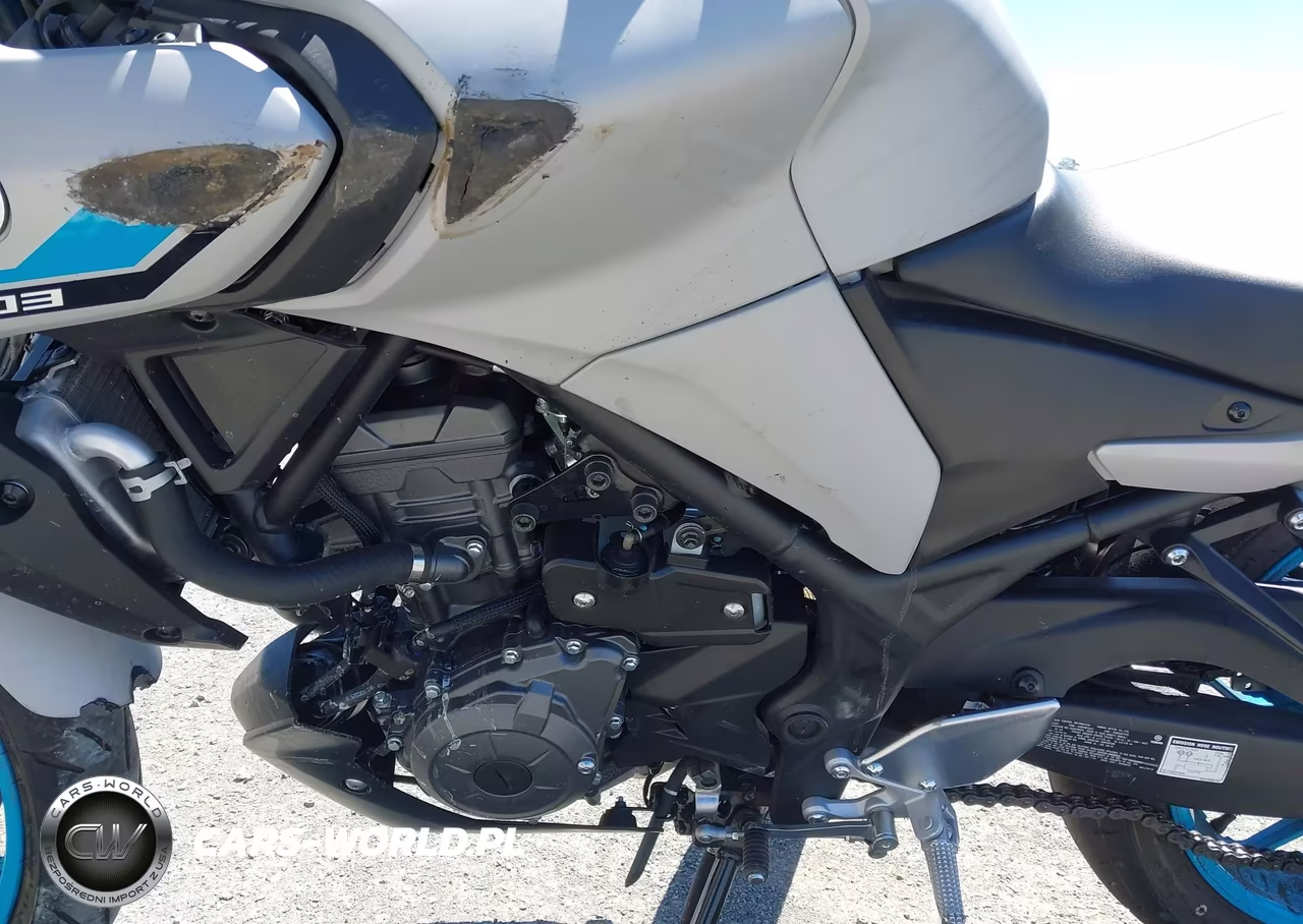 2025 Yamaha Mtn320 Ac VIN:MH3RH28Y6SK001457 - 9