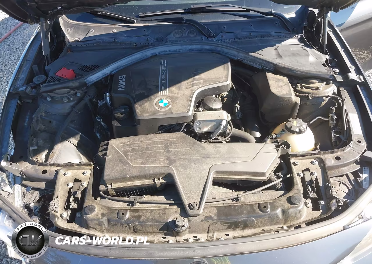2015 BMW 320I xDrive VIN:WBA3C3G50FNS76145 - 10