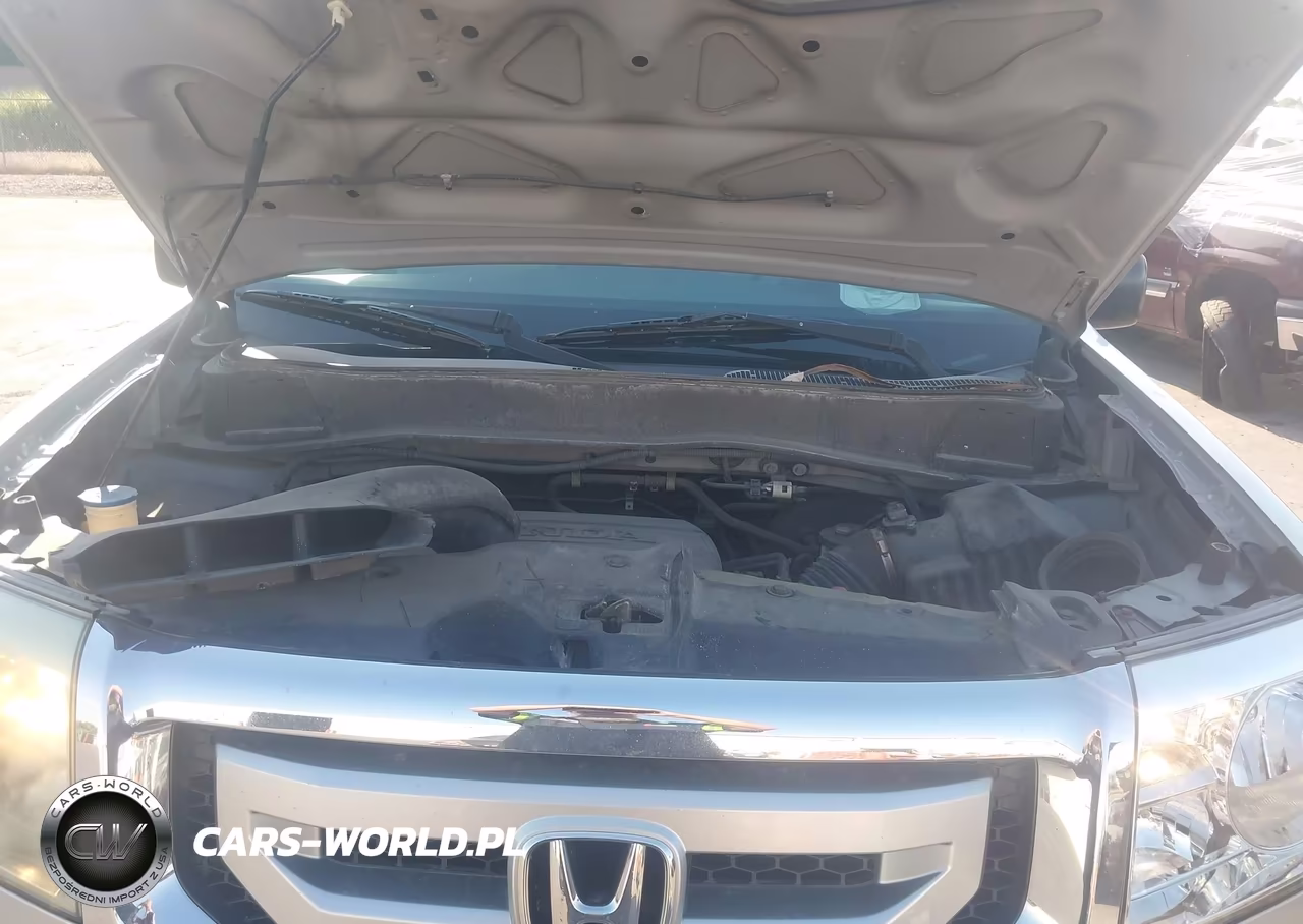 2010 Honda Pilot Lx VIN:5FNYF3H22AB001422 - 10