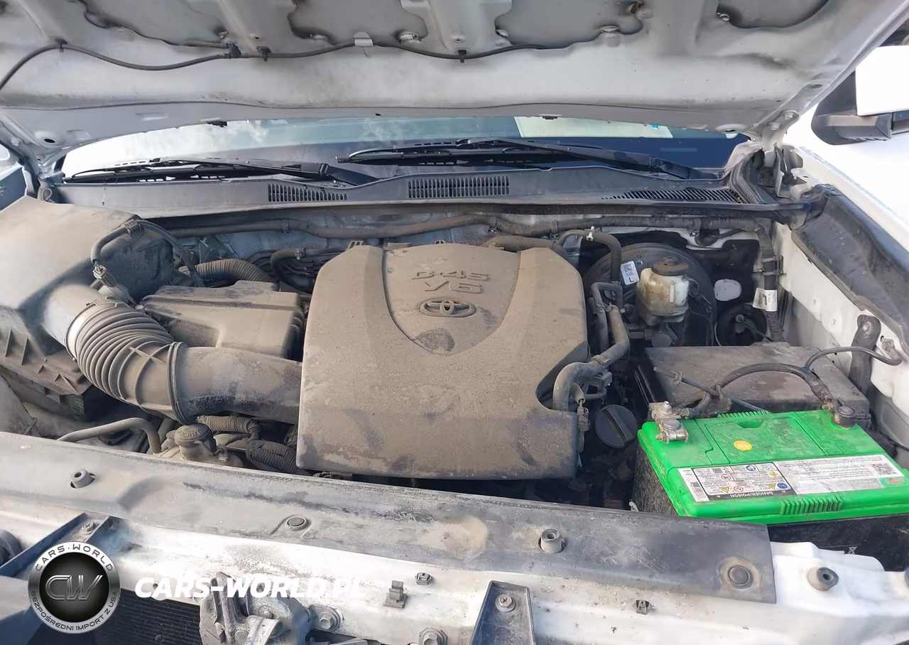 2017 Toyota Tacoma Sr5 V6 VIN:5TFAZ5CN8HX044751 - 10
