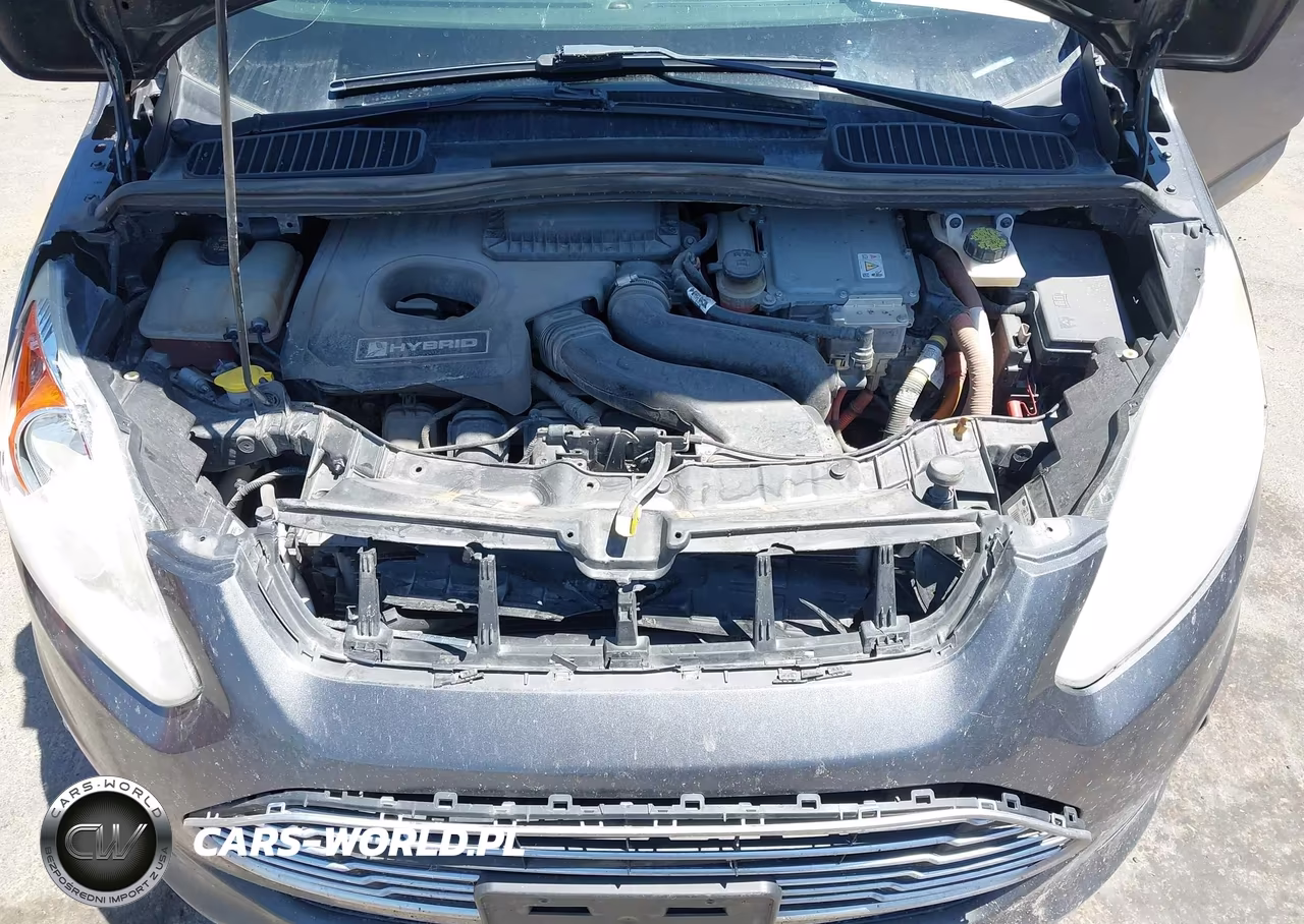 2015 Ford C-Max Hybrid Sel VIN:1FADP5BU9FL119981 - 10