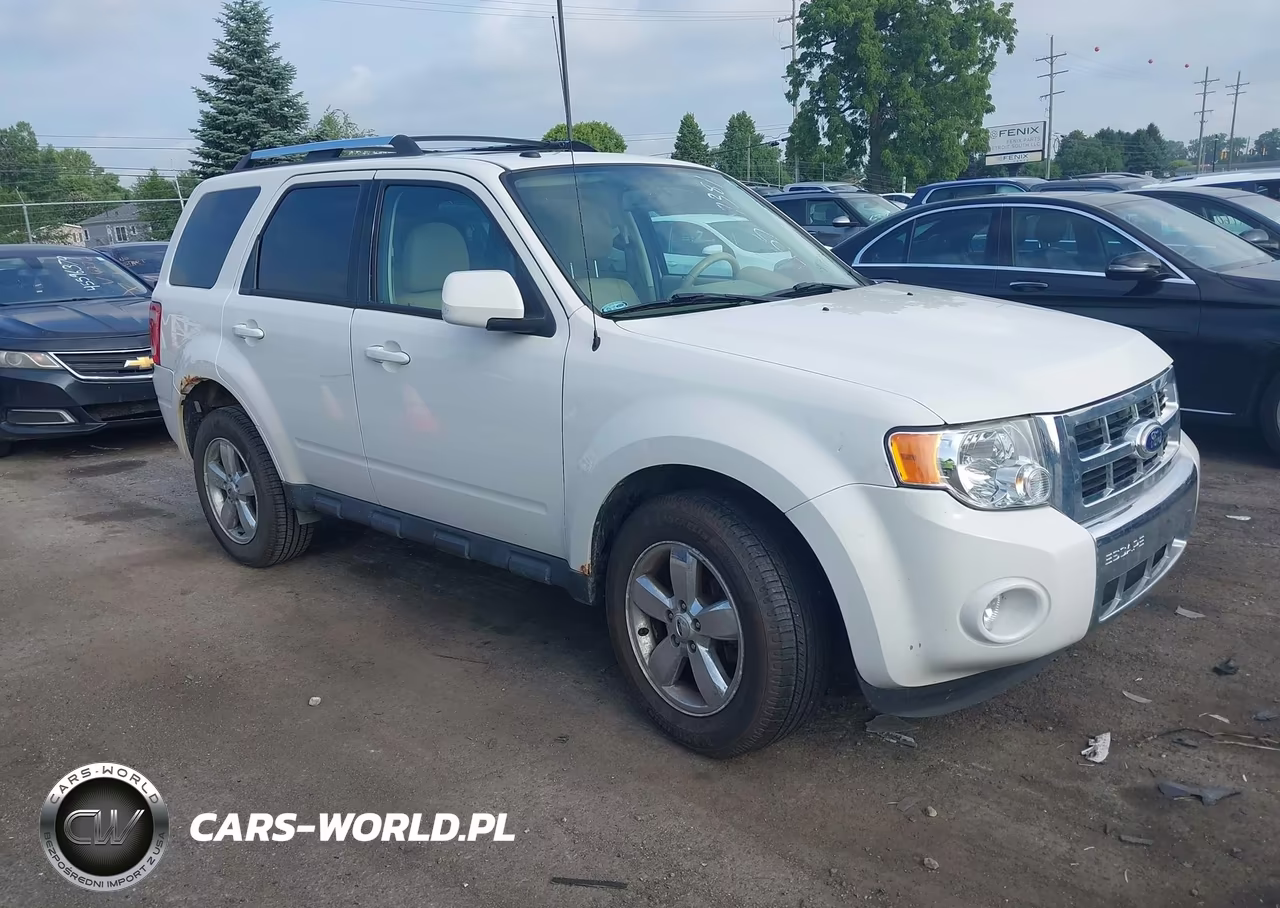 2010 Ford Escape Limited