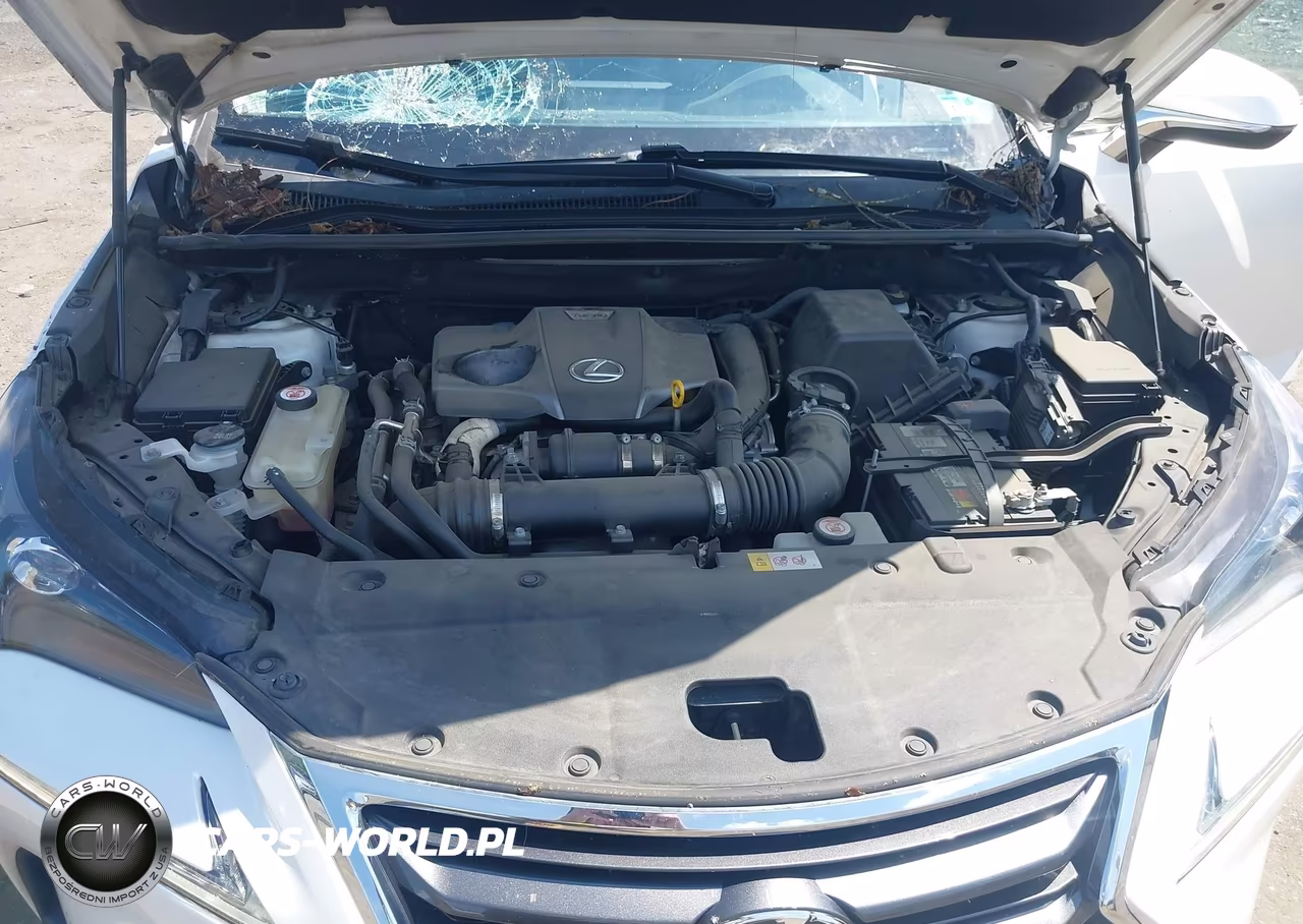 2016 Lexus Nx 200T VIN:JTJBARBZ7G2085758 - 10