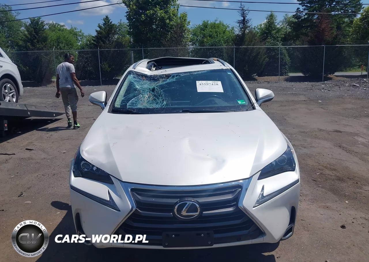 2016 Lexus Nx 200T VIN:JTJBARBZ7G2085758 - 12