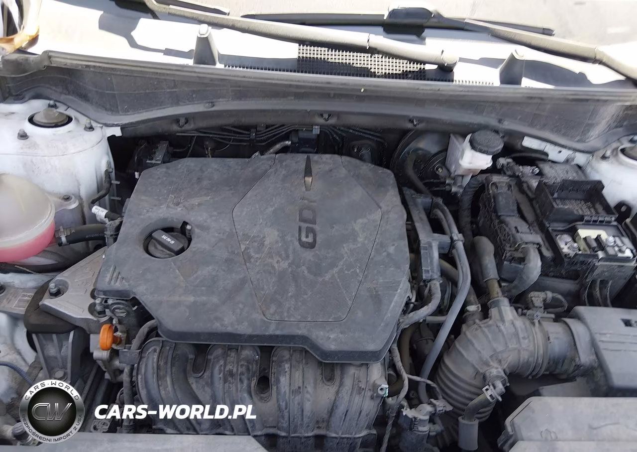 2023 Kia Sportage Ex VIN:5XYK33AF3PG005248 - 10