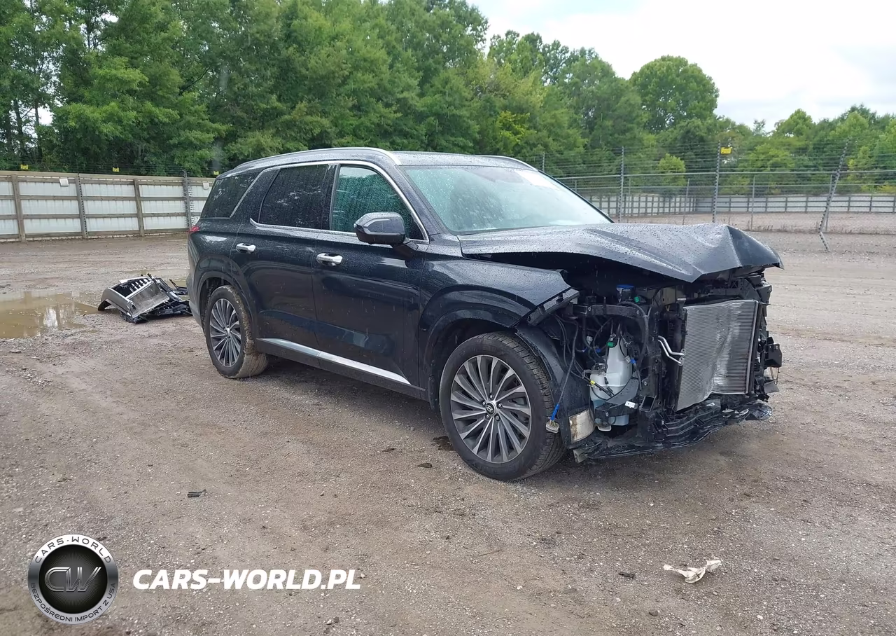 2023 Hyundai Palisade Calligraphy – zdjęcie 1 z 16