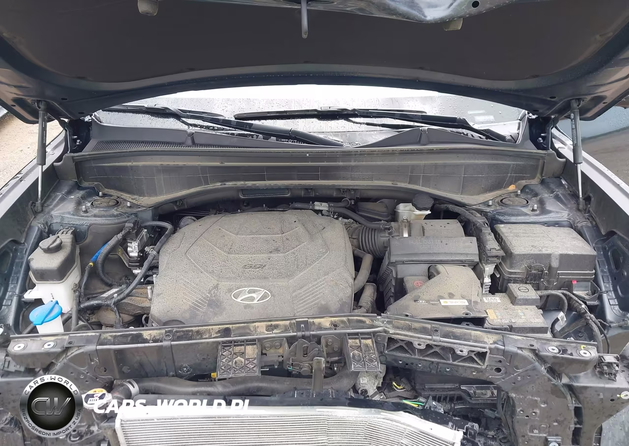 2023 Hyundai Palisade Calligraphy VIN:KM8R74GE0PU585740 - 10