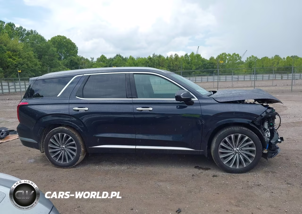 2023 Hyundai Palisade Calligraphy VIN:KM8R74GE0PU585740 - 13