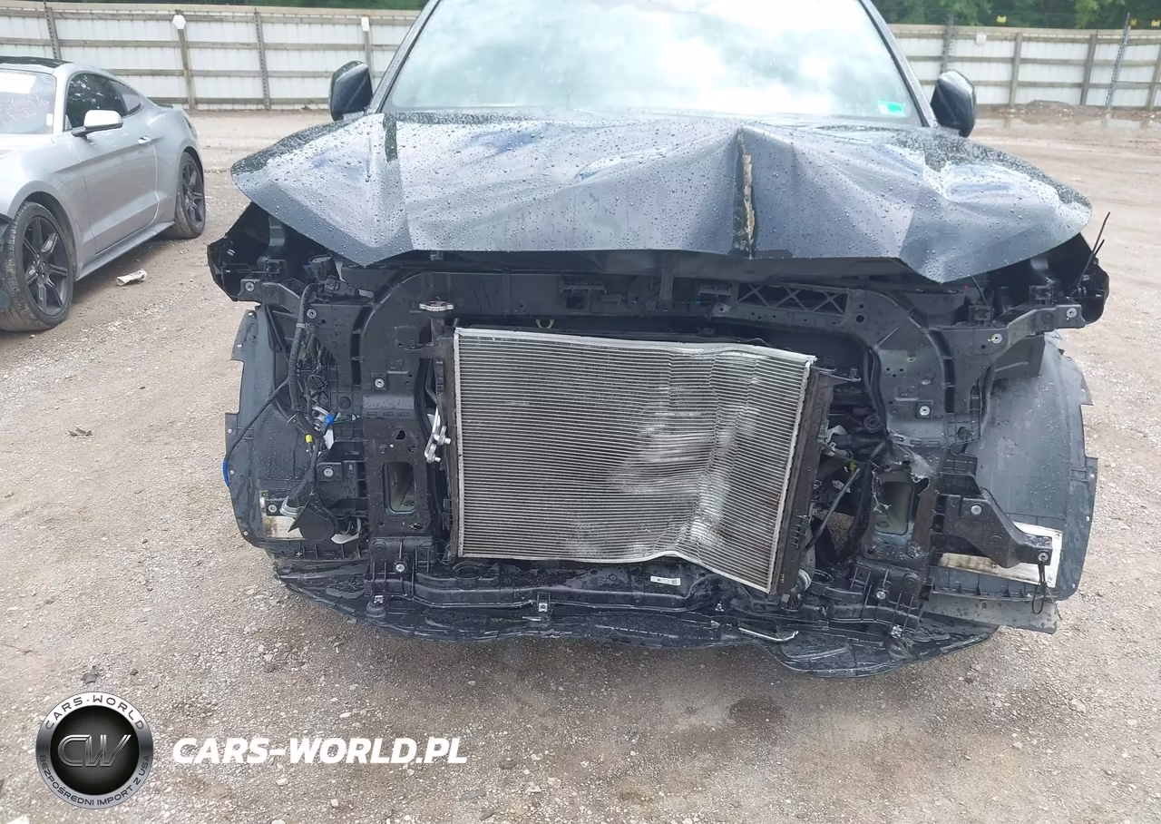 2023 Hyundai Palisade Calligraphy VIN:KM8R74GE0PU585740 - 6