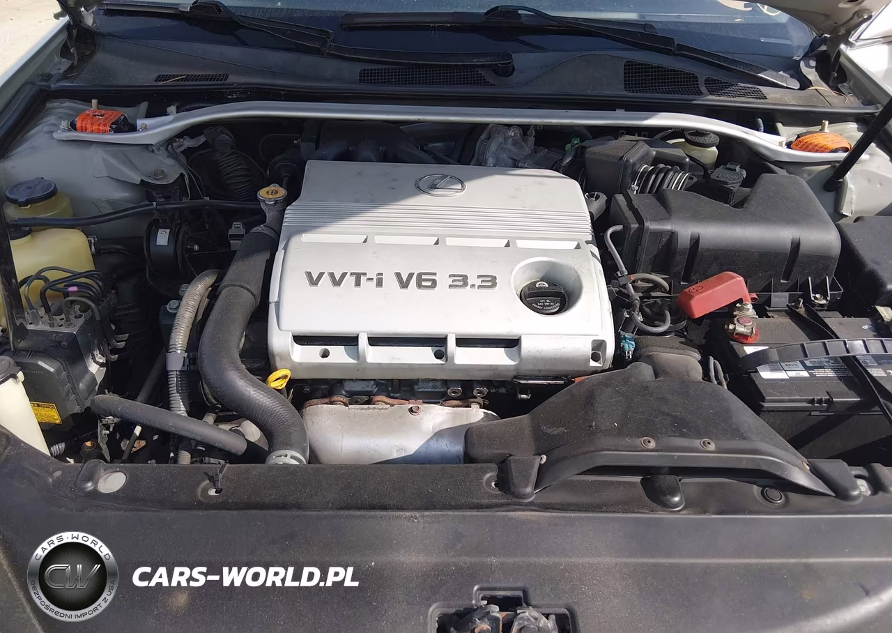 2004 Lexus Es 330 VIN:JTHBA30G740021906 - 10