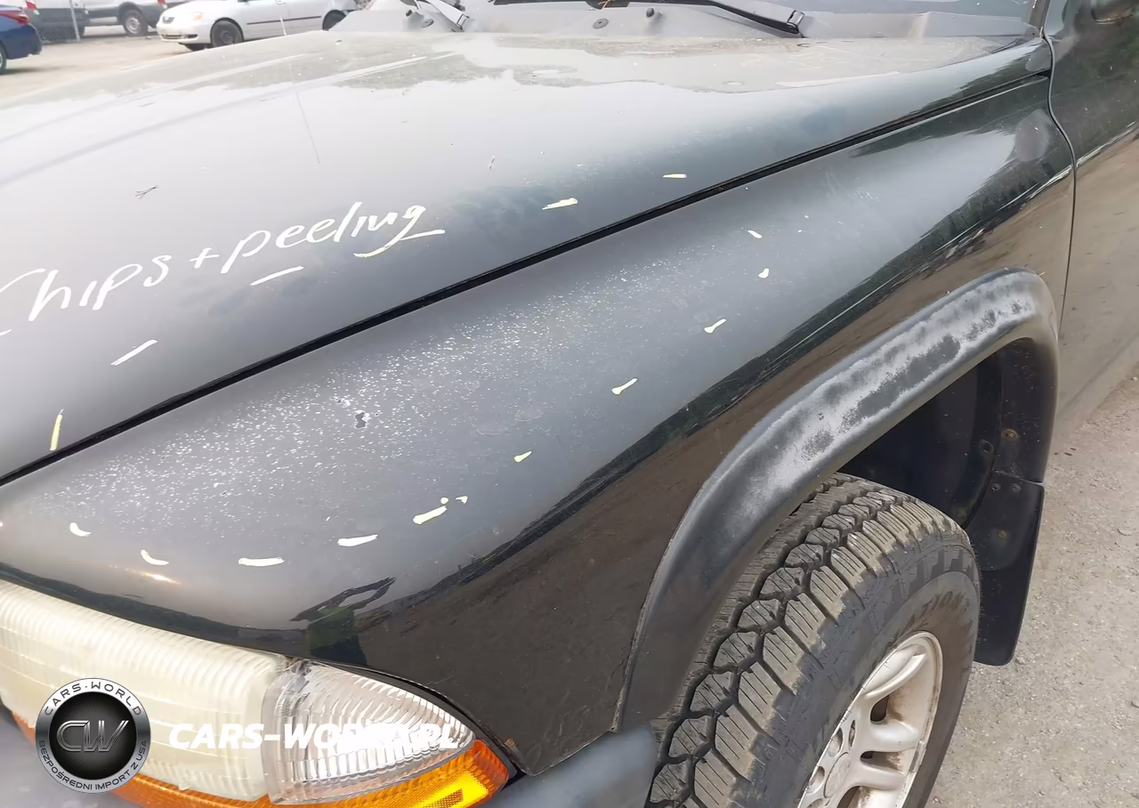 2003 Dodge Dakota Sport-Sxt VIN:1D7HG38N53S217266 - 6