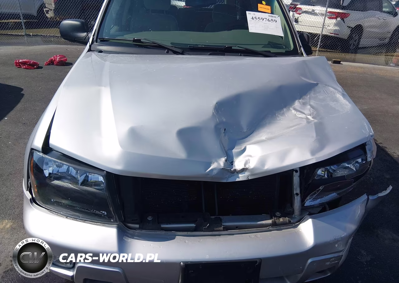 2009 Chevrolet Trailblazer Lt VIN:1GNDT33S292124013 - 19