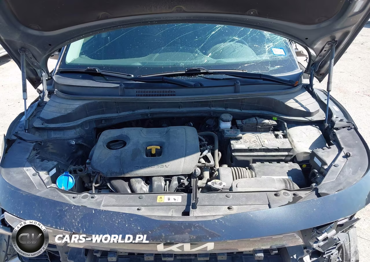 2024 Kia Soul Ex VIN:KNDJ33AU0R7920780 - 10