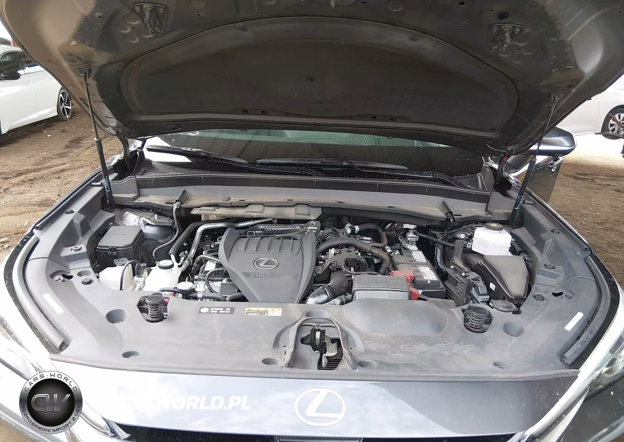 2025 Lexus Tx 350 Luxury VIN:5TDAAAB61SS021982 - 10