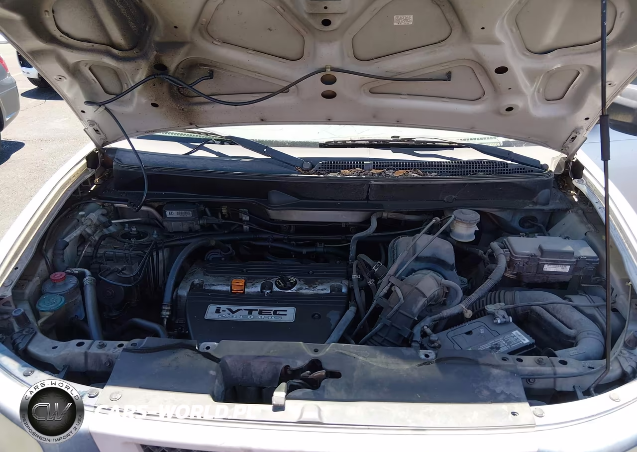 2005 Honda Element Ex VIN:5J6YH28615L023867 - 10