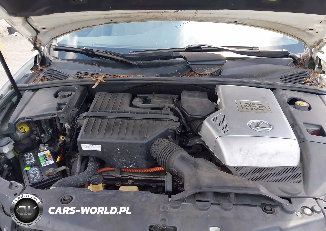 2007 Lexus Rx 400H VIN:JTJGW31U172003808 - 10
