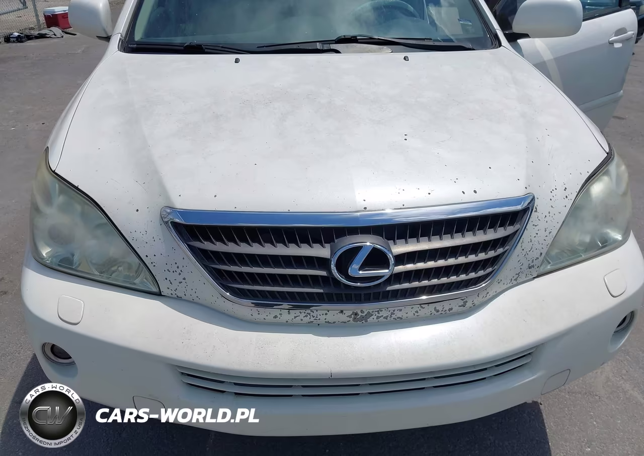 2007 Lexus Rx 400H VIN:JTJGW31U172003808 - 6
