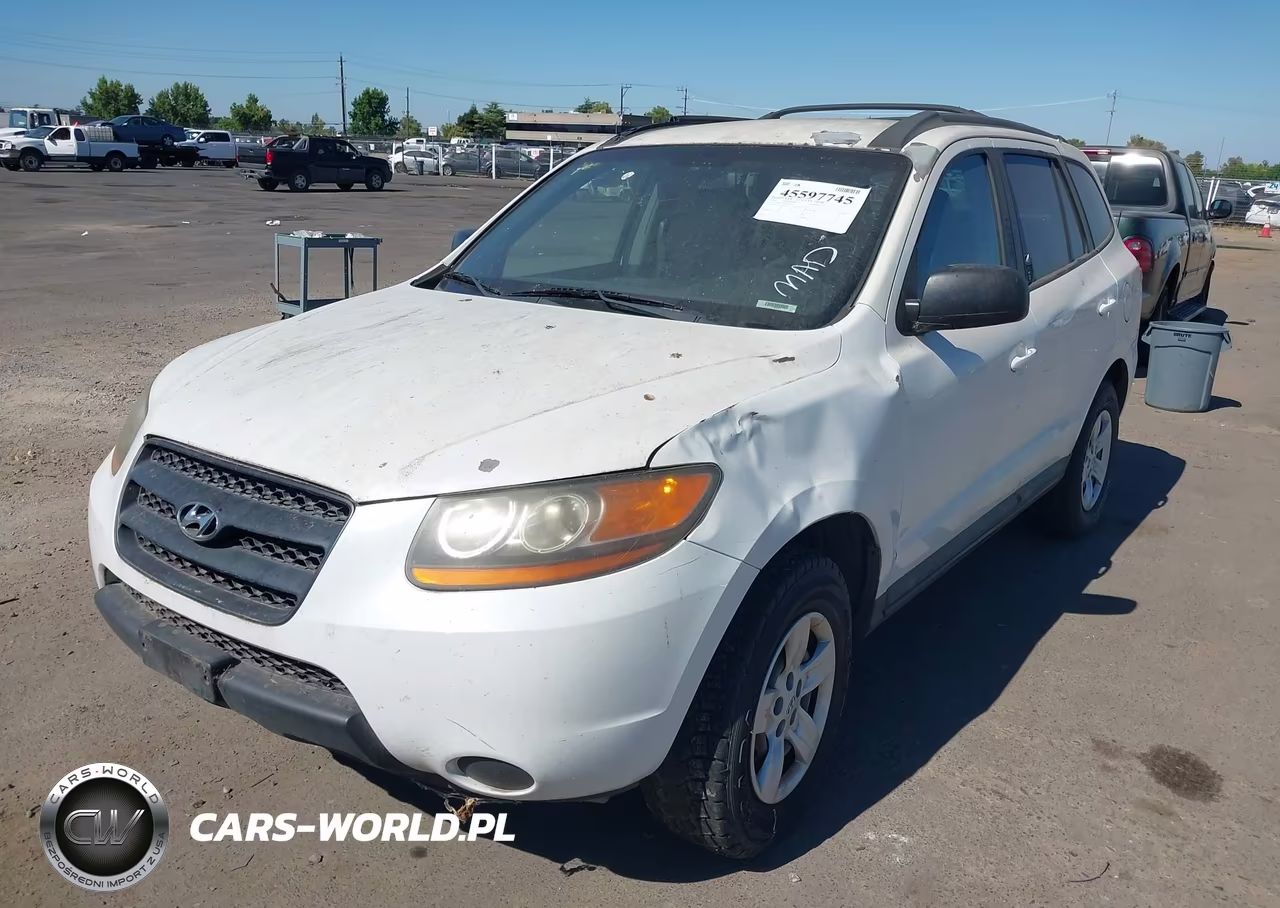 2009 Hyundai Santa Fe Gls VIN:5NMSG13D59H266412 - 2