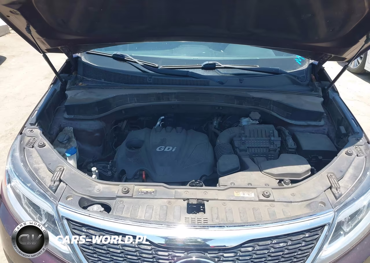 2014 Kia Sorento Lx VIN:5XYKT3A63EG537628 - 10