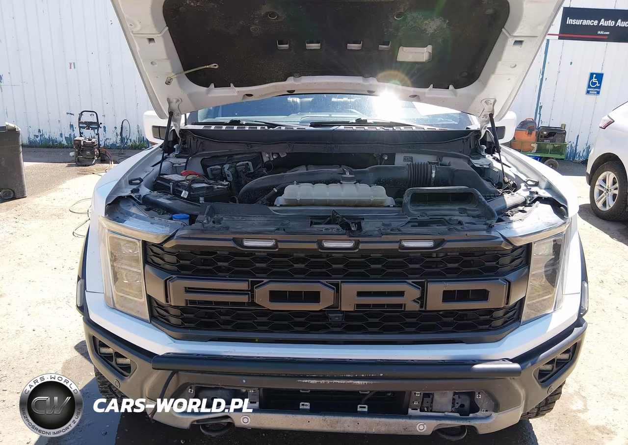 2023 Ford F-150 Raptor VIN:1FTFW1RGXPFA22139 - 10