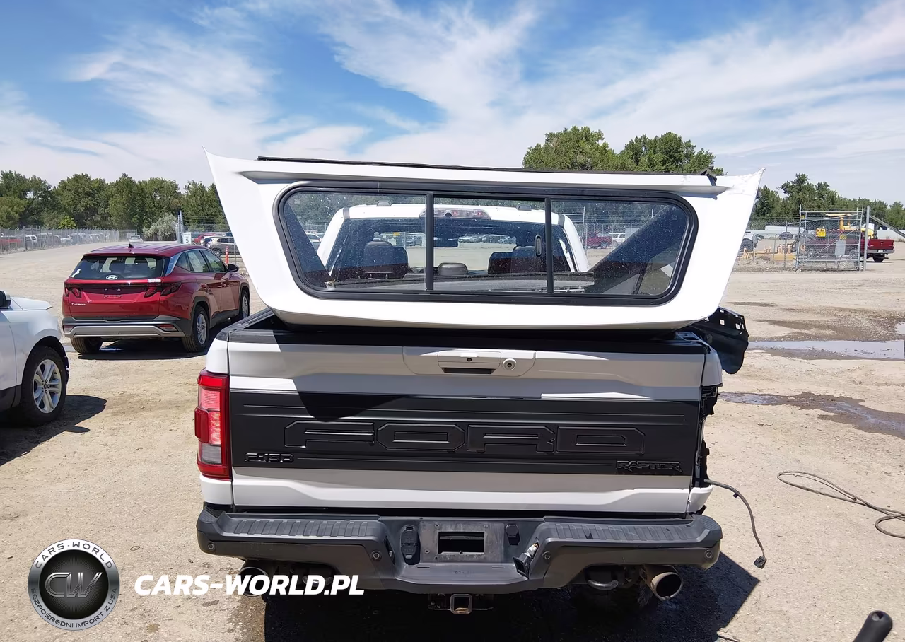 2023 Ford F-150 Raptor VIN:1FTFW1RGXPFA22139 - 16
